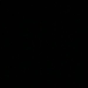 Meet your Posher, Bella